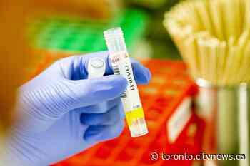Ontario reports fewest new COVID-19 cases in 2 weeks - CityNews Toronto