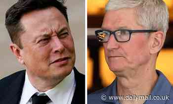 Elon Musk blasts Apple twice during Tesla earnings for its use of cobalt and how it does business