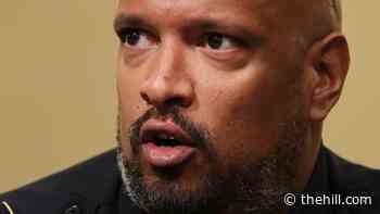 Capitol Police Officer Harry Dunn on Jan. 6 mob: 'A hit man sent them'