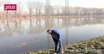 Trebur Hochwasserschutz? Warum bei Trebur kein Polder entsteht - Echo Online