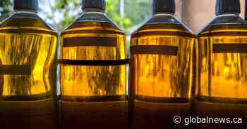 Province announces $4.7M for new Lethbridge County renewable fuel facility