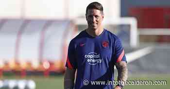 Fernando Torres begins coaching career with Atlético youth side - Into The Calderon