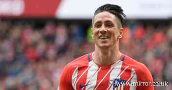 Fernando Torres set to make Atletico Madrid return and join coaching team - The Mirror