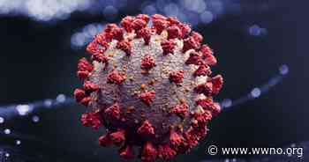 The Fourth Surge Of The Coronavirus Pandemic Is Accelerating, Gov. Edwards Calls It 'Scary' - WWNO