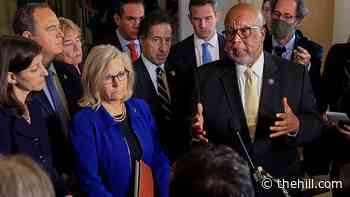 GOP up in arms over Cheney, Kinzinger
