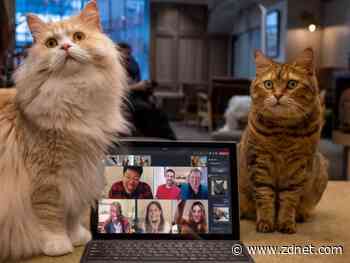 Microsoft Teams hits 250 million monthly active user milestone