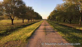 Lush and oak-lined new development brings ranch-style living to Houston area - CultureMap Houston