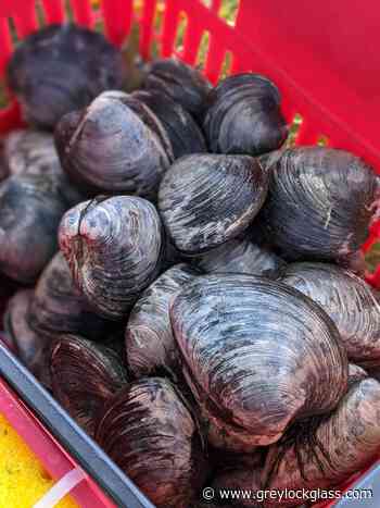 Snapshot Travel Guide: Warwick, Rhode Island • The Greylock Glass - greylockglass.com