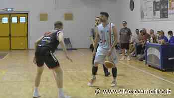 Vissani resta alla Vigor Basket Matelica - Vivere Camerino