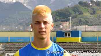 TMW - Ancona-Matelica, il rinforzo in attacco è Rolfini: lascia il Legnago - TUTTO mercato WEB