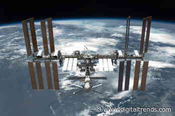 Why is NASA sending slime mold to the space station?