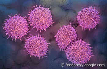 Why Human Foreskin Is a Hot Commodity in Science