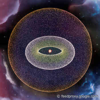 Mysteries of the Oort Cloud at the Edge of Our Solar System