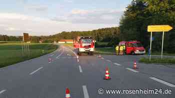 Kirchanschöring: B20 wegen freilaufenden Stiers gesperrt - rosenheim24.de