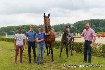 Paard van Ines (45) en Tom (47) uit Melle naar Olympische Spelen: “Gouden medaille is een droom”