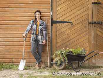 Ex-Blue Peter gardener Chris Collins, Frances Tophill, Rekha Mistry and Jack Wallington on the joys of allotments - The Yorkshire Post