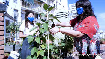 Becoming an urban gardener in Argentina - CGTN America
