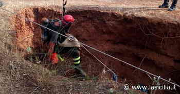 Caltagirone, salvata dai vigili del fuoco la cagnetta caduta in un fossato profondo 25 metri - La Sicilia