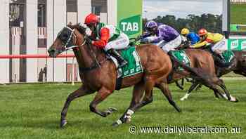Forbes Cup Day a showcase meeting for the first time - Daily Liberal