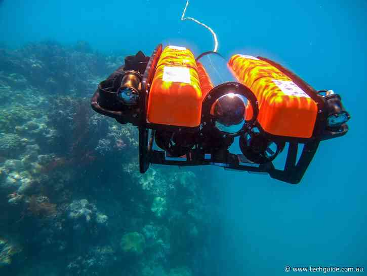 Despite the COVID lockdown you can still dive the Great Barrier Reef – virtually