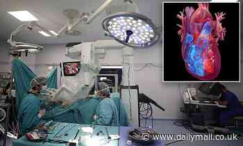 Hearts from donors who died of drug overdoses ARE safe to use in transplant surgeries, studies find