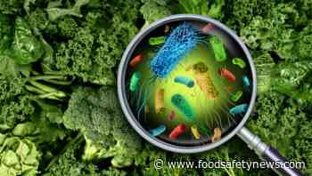 DG Sante raises concerns on Belgian microbial controls - Food Safety News