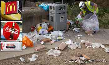 Food firms warn over government plan to make them pay for waste disposal - Daily Mail