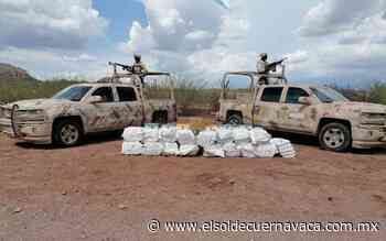 Incautación de drogas se desploma con la 4T - El Sol de Cuernavaca