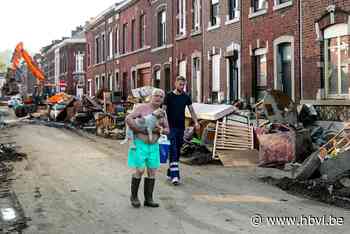 Noord-Limburgse Dierenvoedselbank helpt huisdieren in Waals ... (Lommel) - Het Belang van Limburg