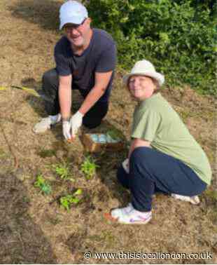 Schools help brighten up community with wildflower planting
