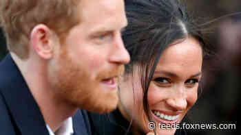 Meghan Markle, Prince Harry's new careers, lifestyles since California move are 'hypocritical': source