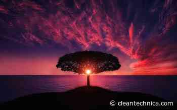 Who on Earth is Twiggy Forest? - CleanTechnica