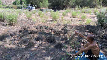 Hiker rescued after stranded for days at New Mexico national forest - KFOX El Paso