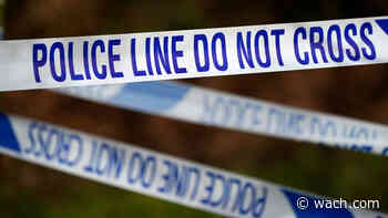 Deputies investigating after body found in state forest - WACH.com