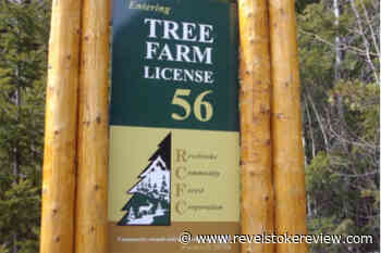 A look at the Revelstoke Community Forest Corporation's Tree Farm License north of Revelstoke – Revelstoke Review - Revelstoke Review