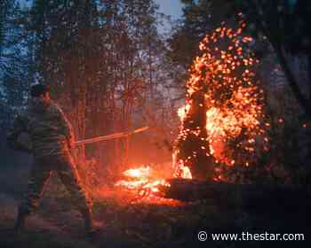 Volunteers pitch in to fight Russia's raging forest fires - Toronto Star