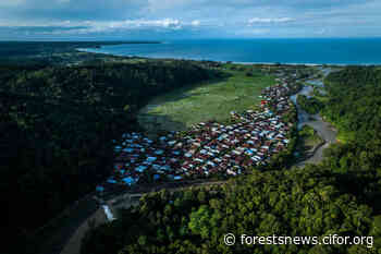 Taking stock of jurisdictional approaches to sustainable forest management - CIFOR Forests News - Forests News, Center for International Forestry Research