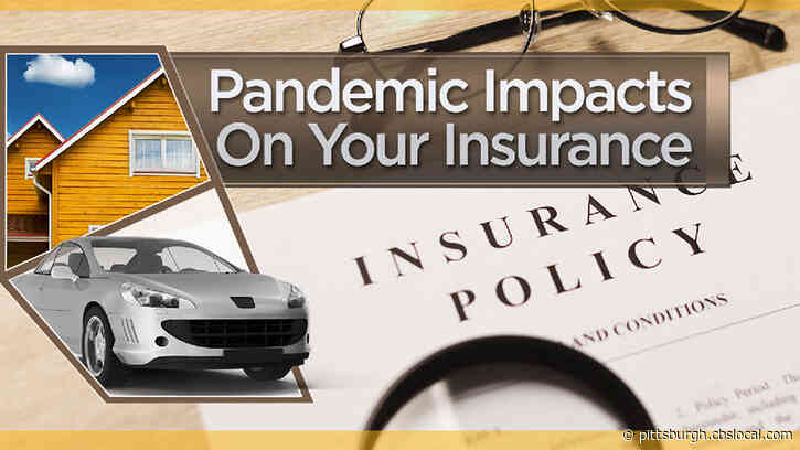 Ensuring You’re Insured: The Pandemic Fallout On Insurance Plans For Homes, Cars, And Even Pets