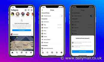 Instagram makes under-16s' accounts private by default to 'create a safe experience'