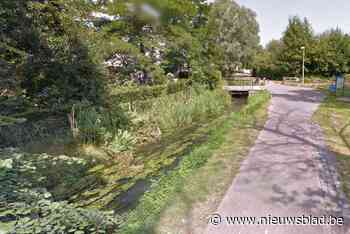 Dame raakt gewond bij handtasdiefstal