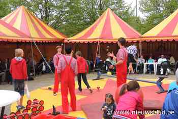 Boxtalino keert terug naar Boom met circusterras