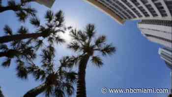 How to Get Access to Condo Association Records?