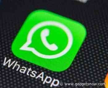 EU watchdog gives Irish agency one month to decide on WhatsApp case