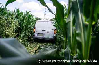 Landstraße bei Leonberg - Frau pflügt mit Auto durch ein Maisfeld - Stuttgarter Nachrichten