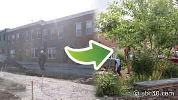 Park in a Truck transforms Philly's vacant lots into beautiful parks