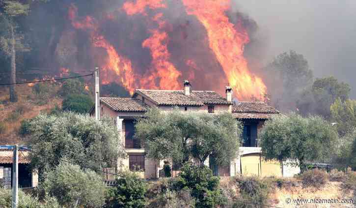 Incendies : ce n'est pas le vent qu'il faut craindre mais les vagues de chaleur et des étés de plus en plus longs