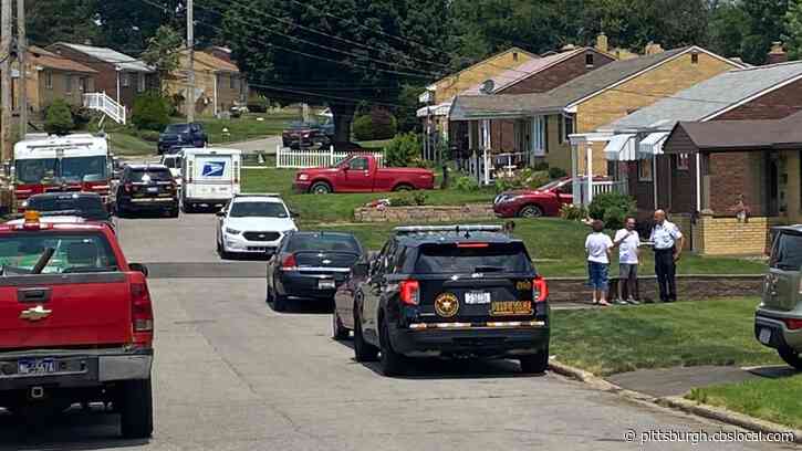 Search Underway For Missing Woman In Stowe Township