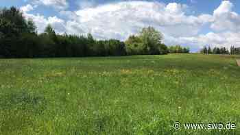 Umstrittener Hallen-Neubau in Senden: Nach scharfer Debatte im Stadtrat: Planung kommt einen weiteren Schritt voran - SWP