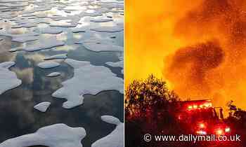 Scientists fear Earth may have gone past the point of no return with climate change