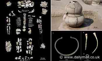 Archaeology: Bronze Age grave in Hungary contains urn with the ashes of a high-status woman